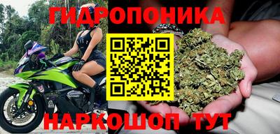 молекула духа Заволжье