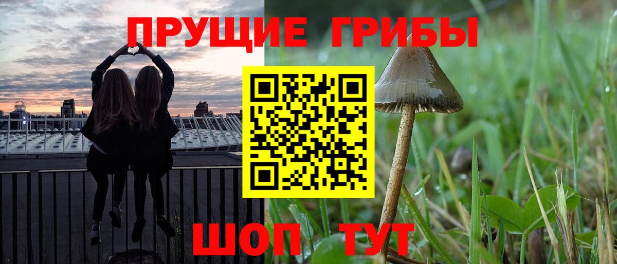 Галлюциногенные грибы прущие грибы Луховицы