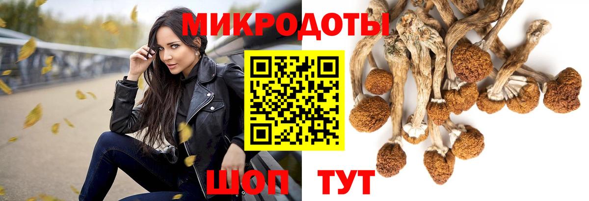 Псилоцибиновые грибы GOLDEN TEACHER  Галлюциногенные грибы мухоморы  Вход с VPN  Луховицы 